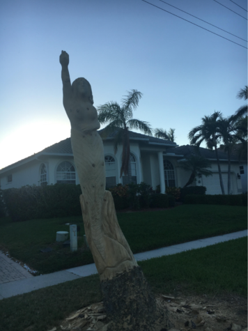 Creating Art from Nature