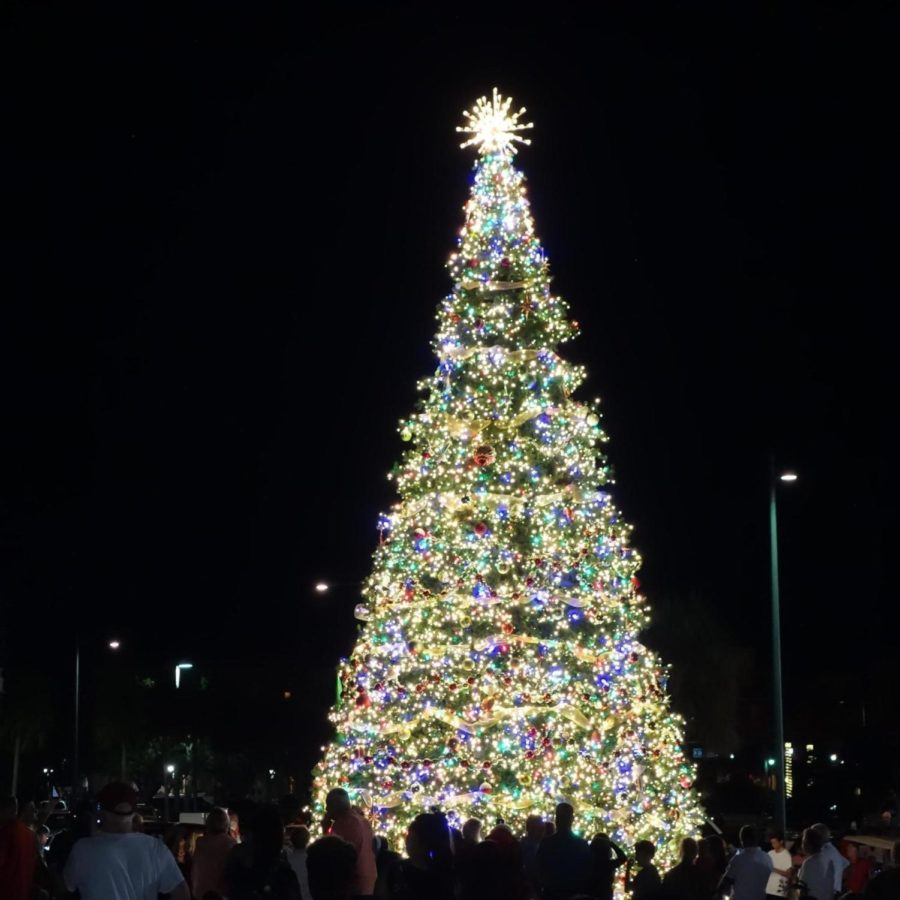 The Christmas Tree Lighting