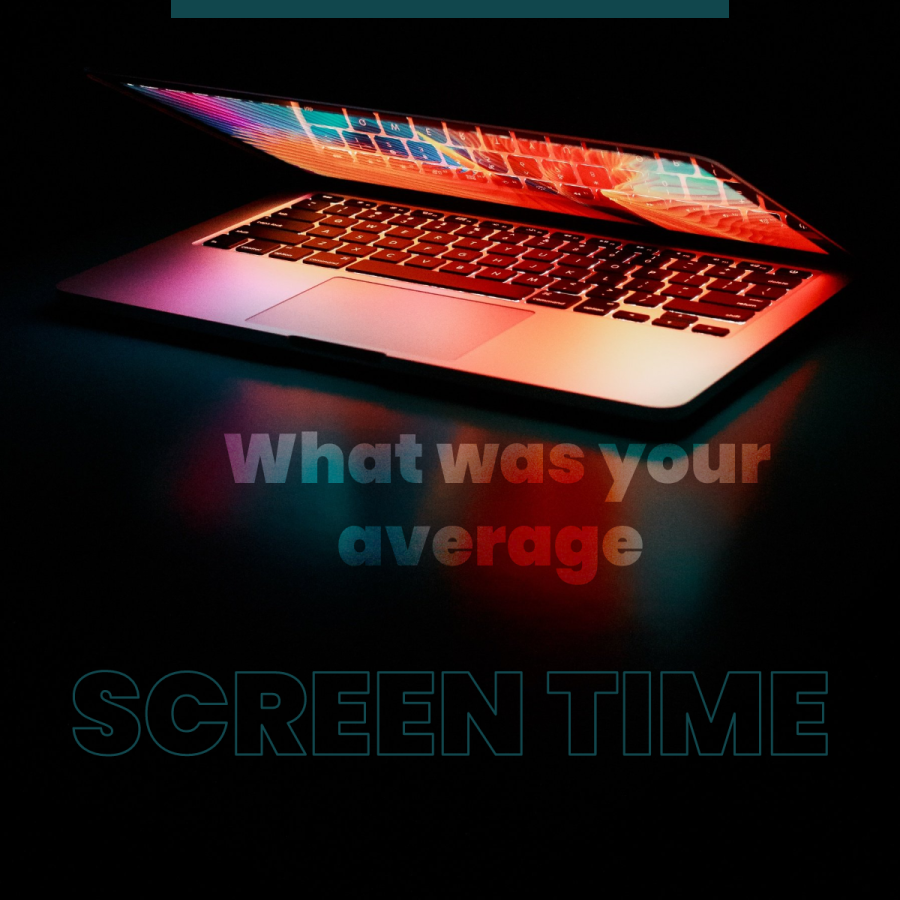 What was your average screen time?