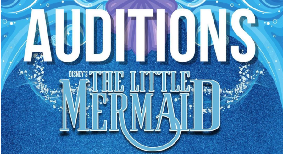 Marco Island Academys Spring Production starts auditions! 