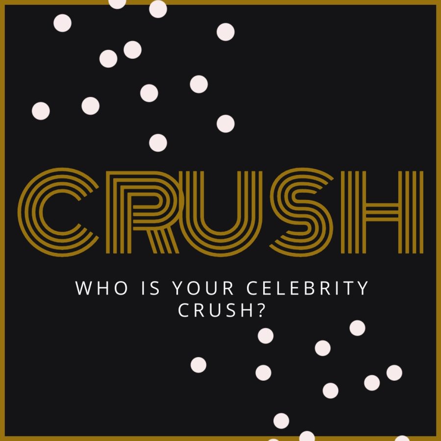 Who is Your Celebrity Crush?