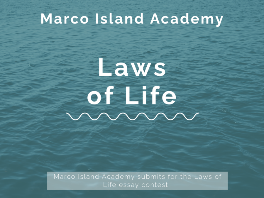 Laws+of+Life+Semi-Finalists