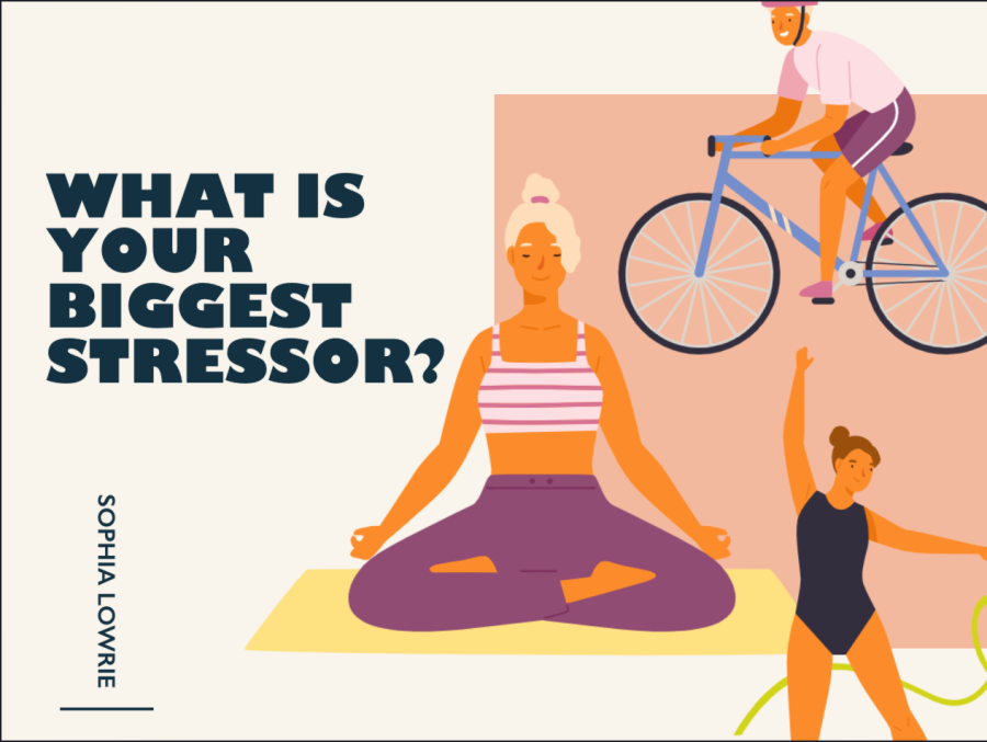What is your biggest stressor?
