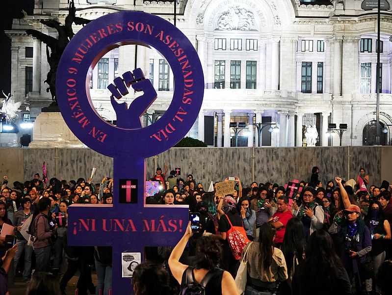 International Day for the Elimination of Violence against Women march located in Mexico City. 