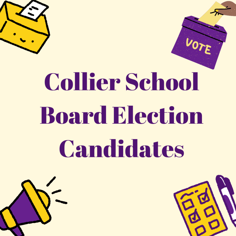 Collier School Board Election Candidates
