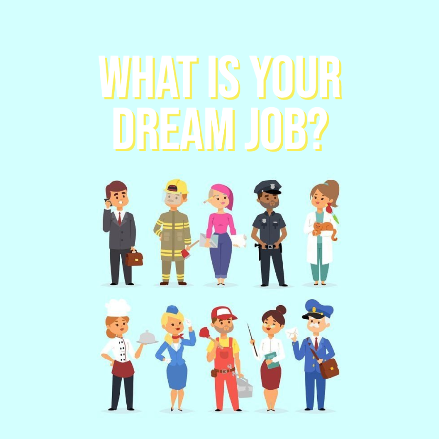 If you could have any job, what would it be?
