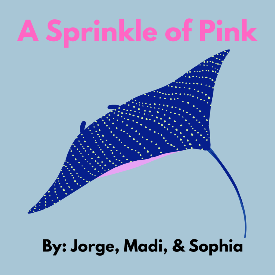 A Sprinkle of Pink