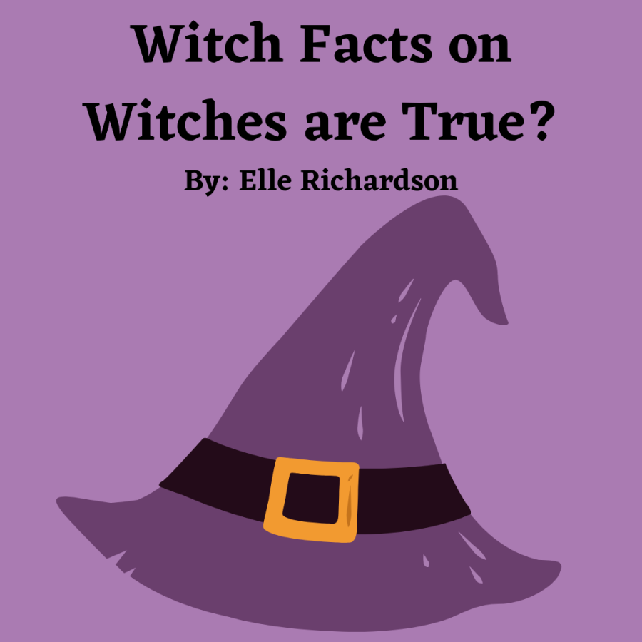 Witch Facts on Witches are True?