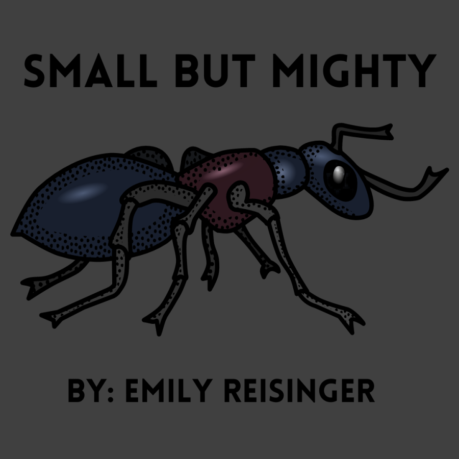 Small but Mighty