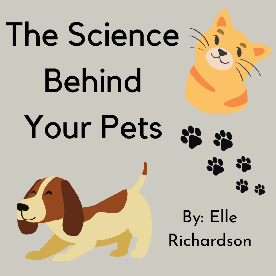 The Science Behind Your Pets