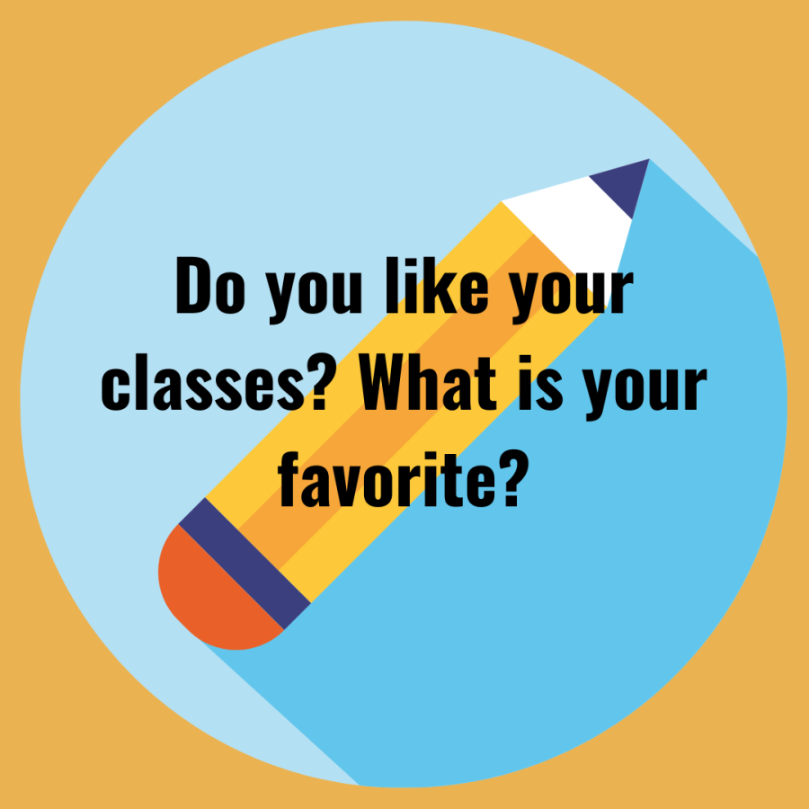 Do you like your classes What is your favorite