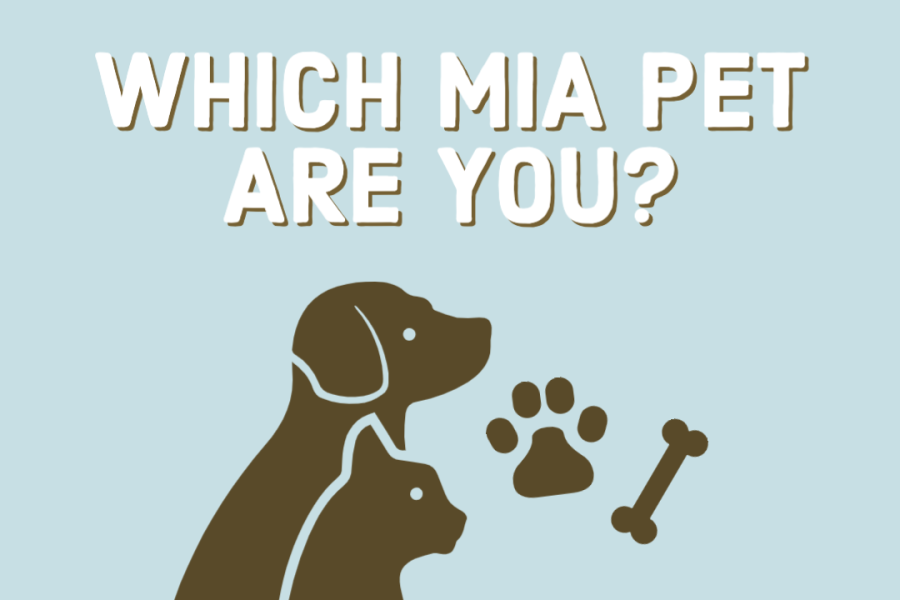 Which MIA Pet Are You?