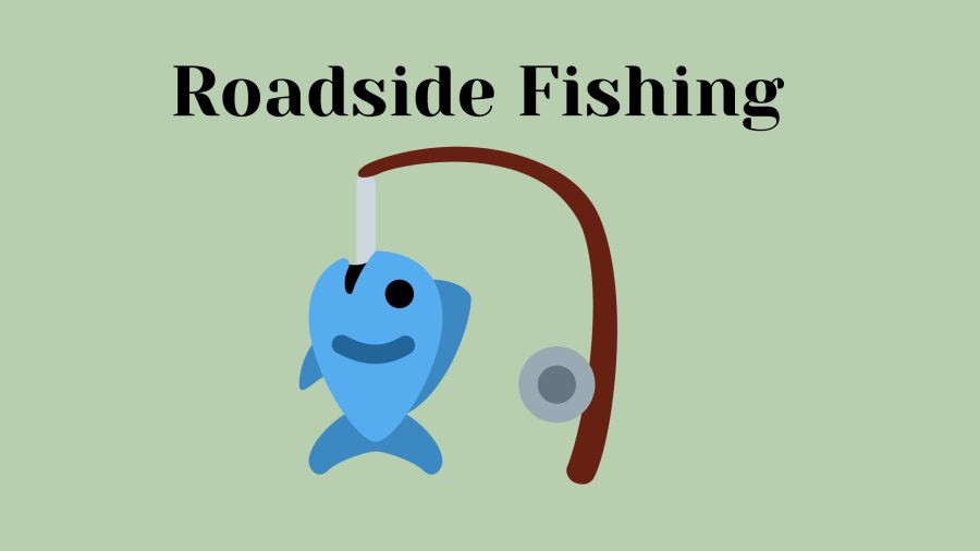 Roadside Fishing
