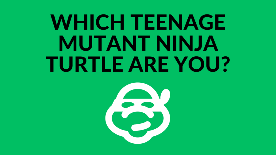Which Teenage Mutant Ninja Turtle Are You?