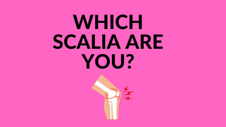 Which Scalia Are You?