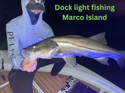 Dock light fishing in Marco Island is a common hobby.