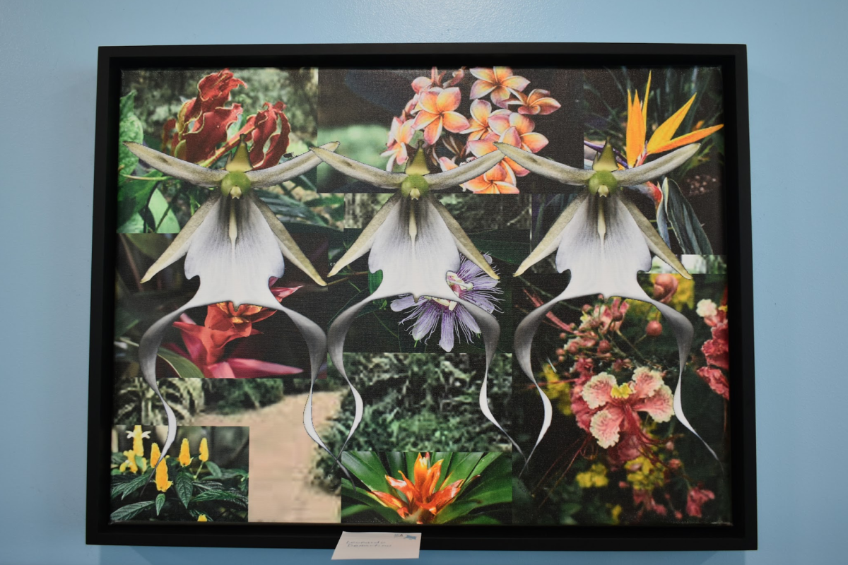 A collage of many types of flowers with three orchids in the front. 
