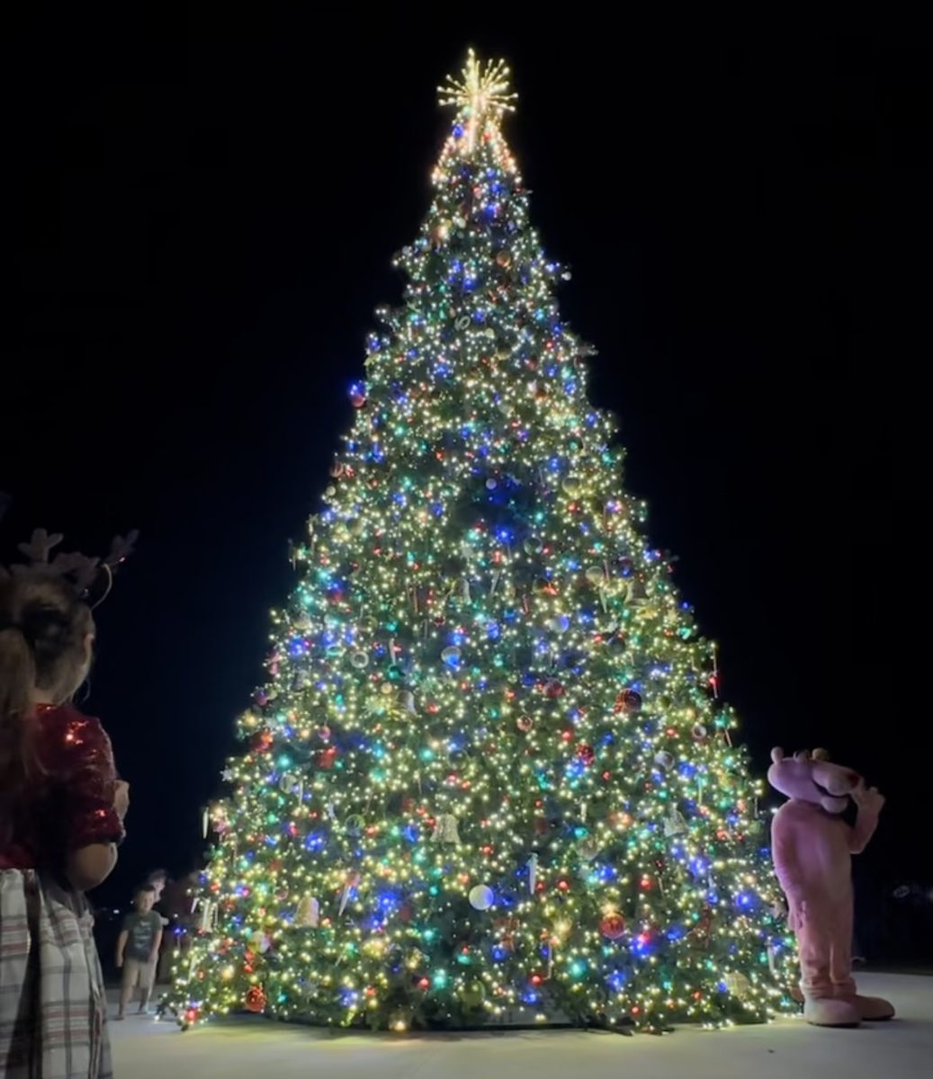 The Christmas tree on Marco Island at Veterans Park glowing in the night.