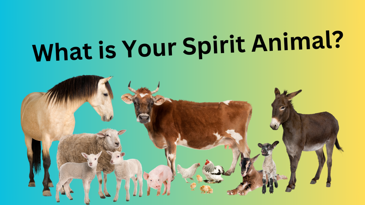 What is Your Spirit Animal?