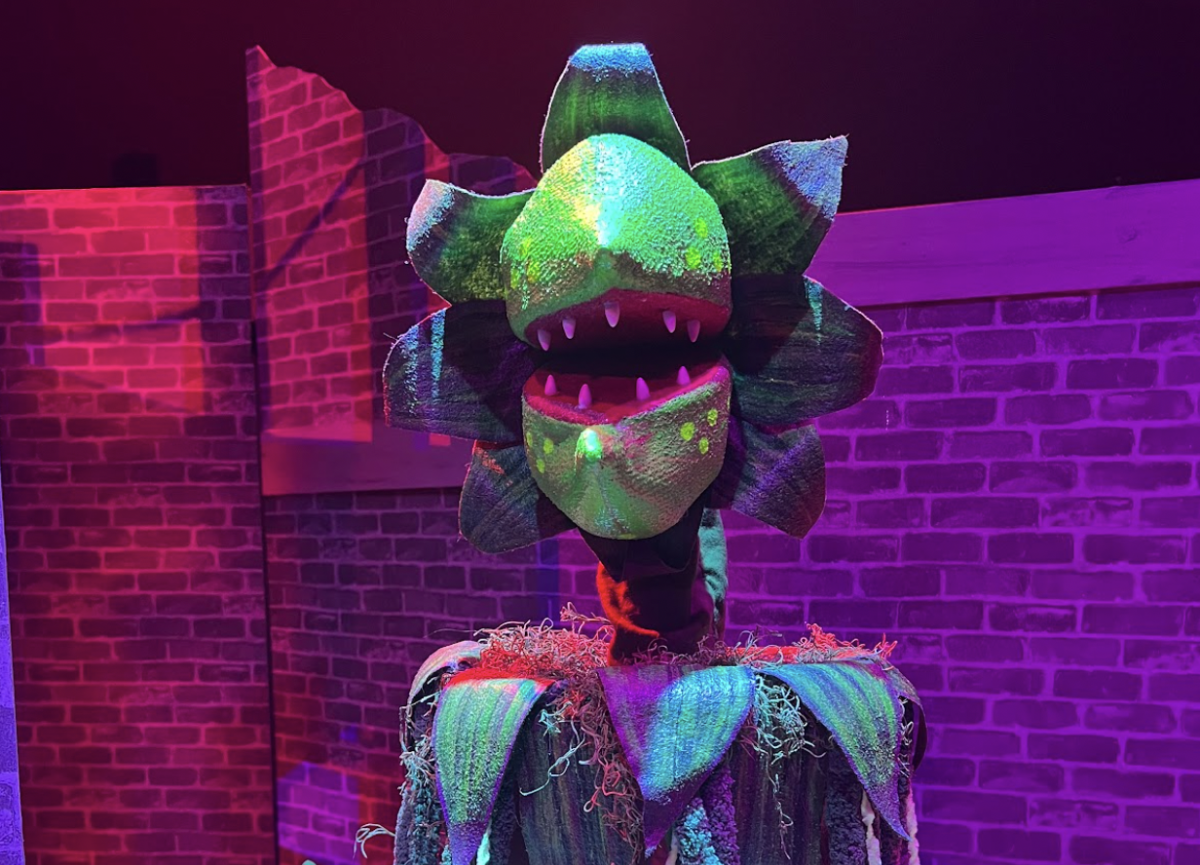 The evil puppet of Audrey II on the MIA stage.