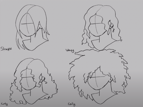 How To Draw Different Hair Types