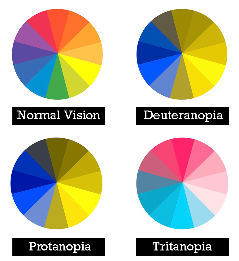 Color wheel charts showcasing how different color blindness conditions affect ones vision.