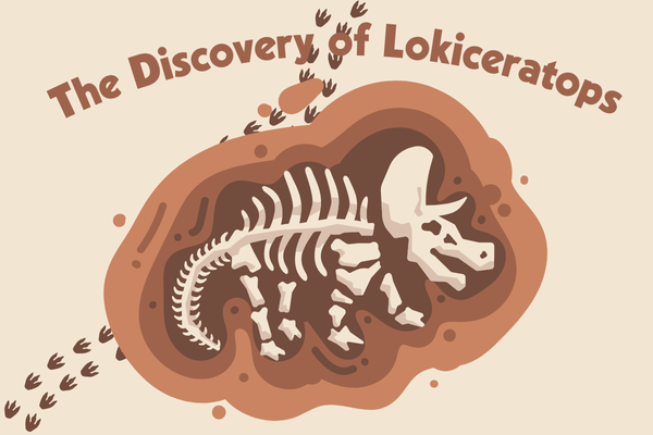 Read about the discovery of a new dinosaur, the Lokiceratops, in this article.