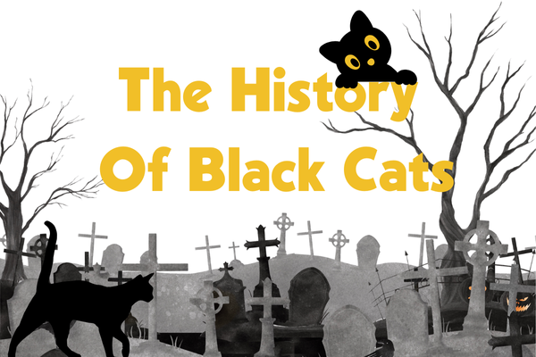 History of The Black Cat