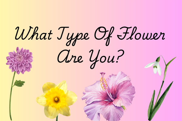 What Flower Are You?