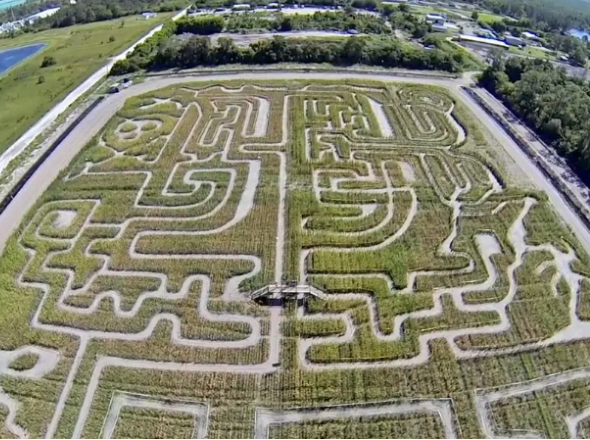 Farmer Mikes Haunted Corn Maze