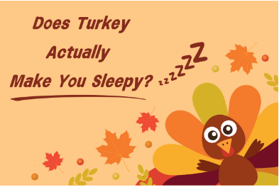 "Does Turkey Actually Make You Sleepy?" a cover image made by Skylar Siems