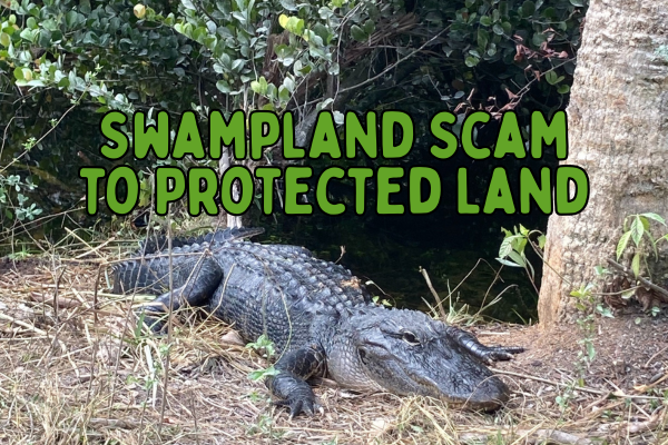 Swampland Scam to Protected Land