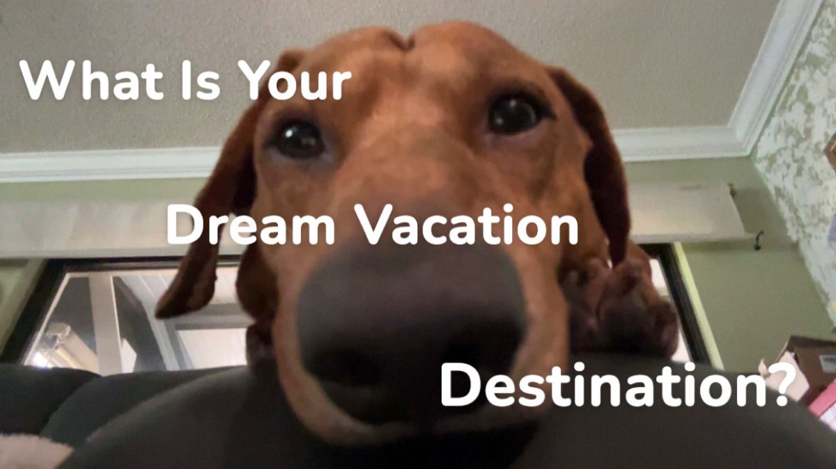 What Is Your Dream Vacation Destination?
