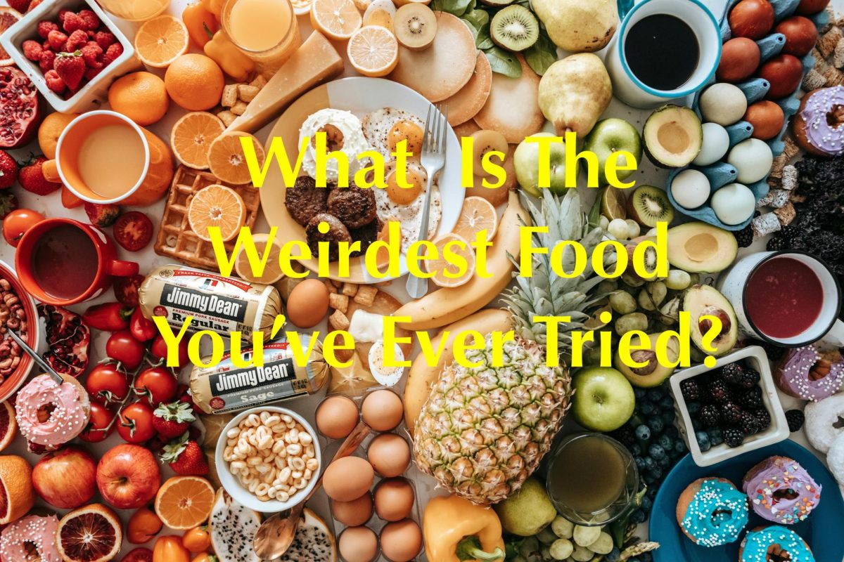 What Is The Weirdest Food You Have Tried?