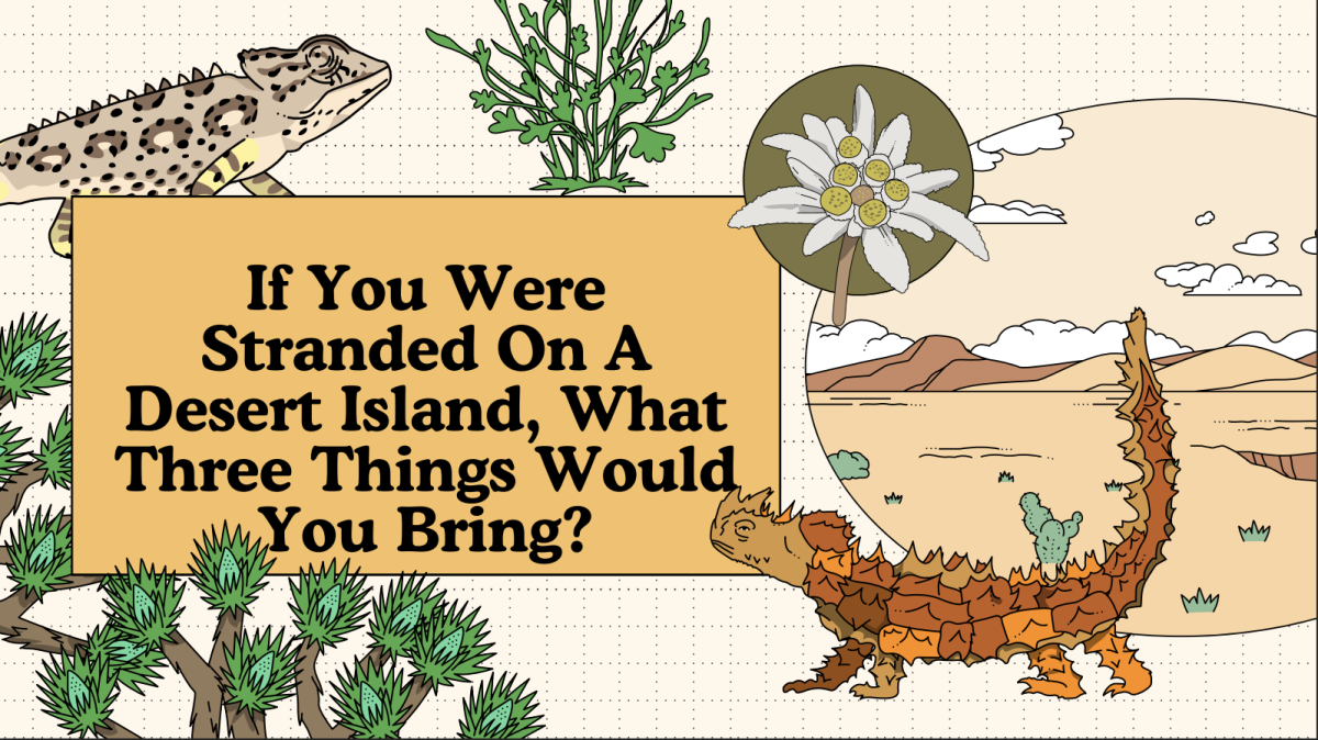 Rayport: If You Were Stranded On A  Desert Island, What Three Things Would  You Bring?