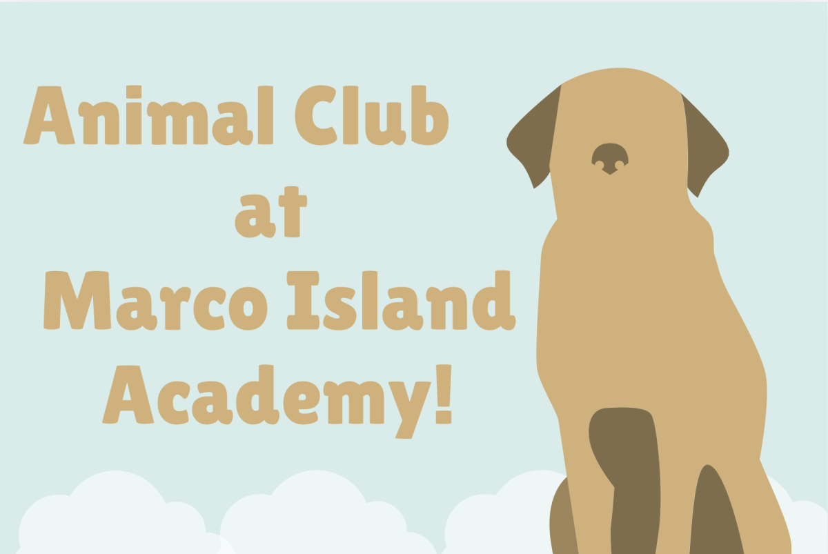 Image created on Canva. 