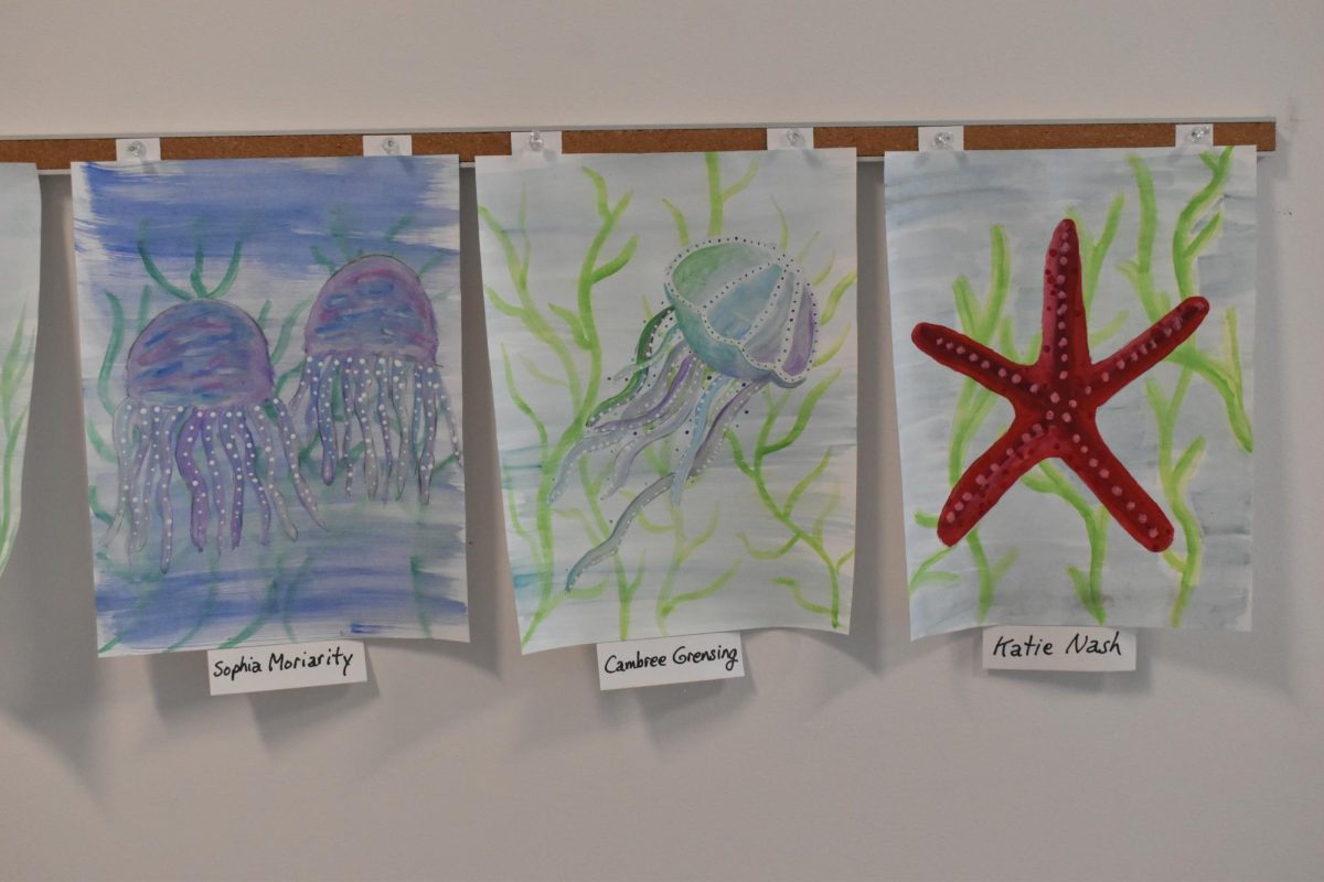 Marine life paintings done by talented artists from Mr. Totten's art class. 