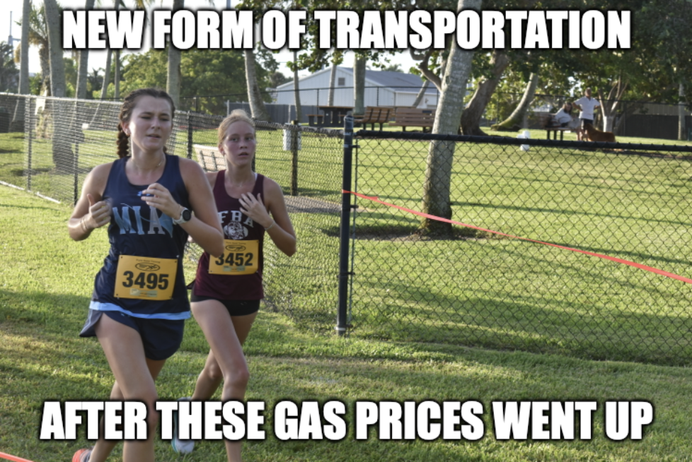 Meme of the Day 3/24/26