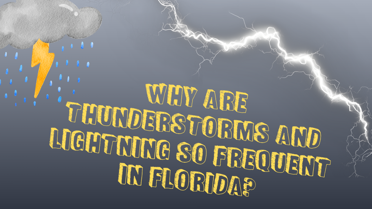Image made on Canva.