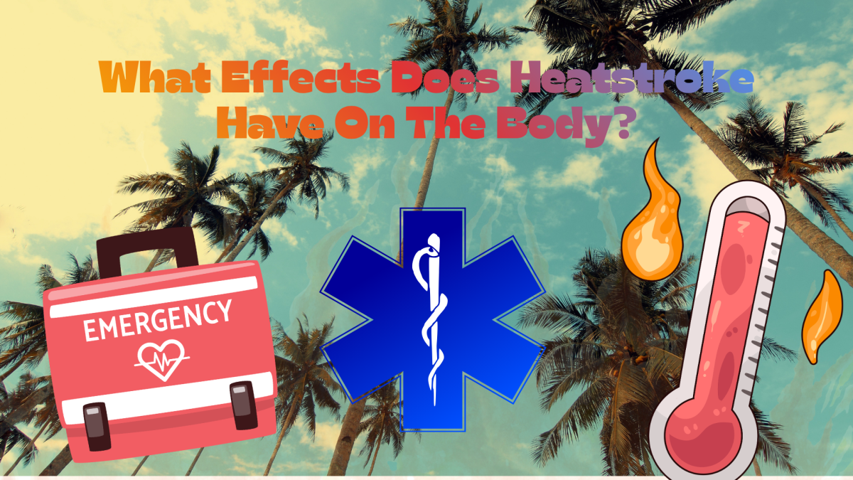 Image made on Canva.