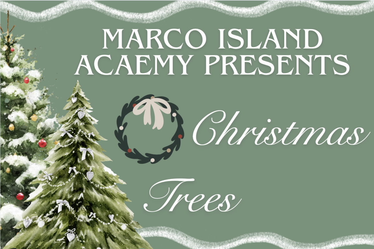 Image made by Alina Nguyen on Canva.